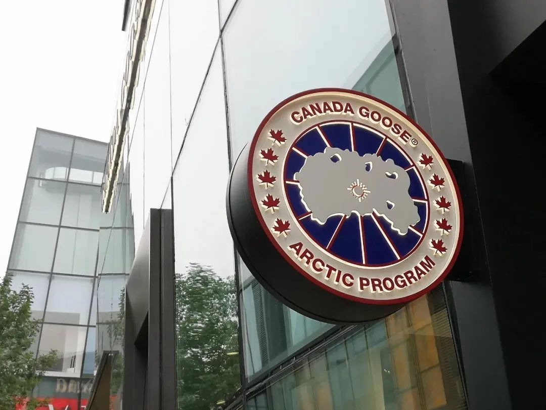 顶流加拿大鹅开始裁员,还是中国人最爱它_澎湃号·湃客_澎湃新闻-the