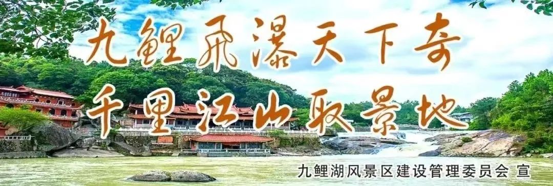 在圣山村400余亩川芎种植基地,只见一畦畦整齐的川芎长势良好,一片片"
