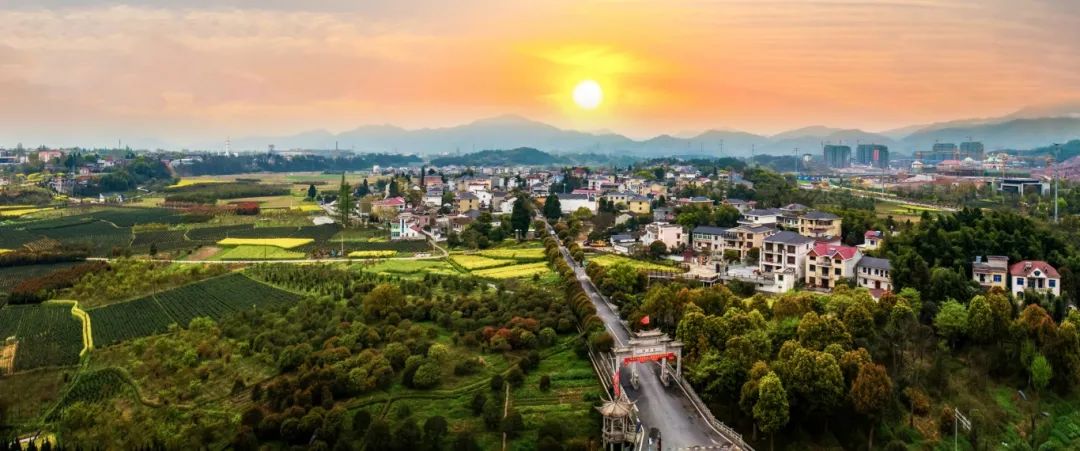 涉及建德这些村镇,家庭,学校_澎湃号·政务_澎湃新闻-the paper