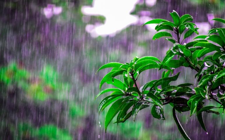 下雨天早晨的图片图片