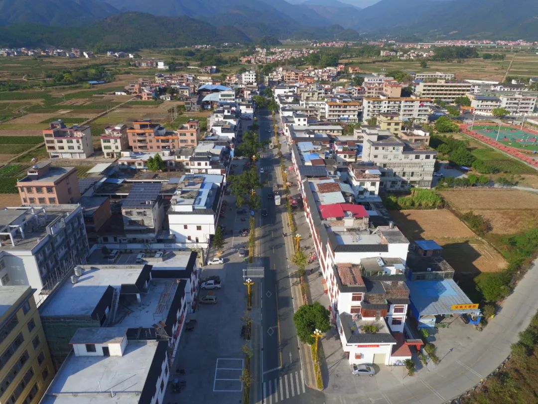 这个圩镇好美!宜居宜业宜游