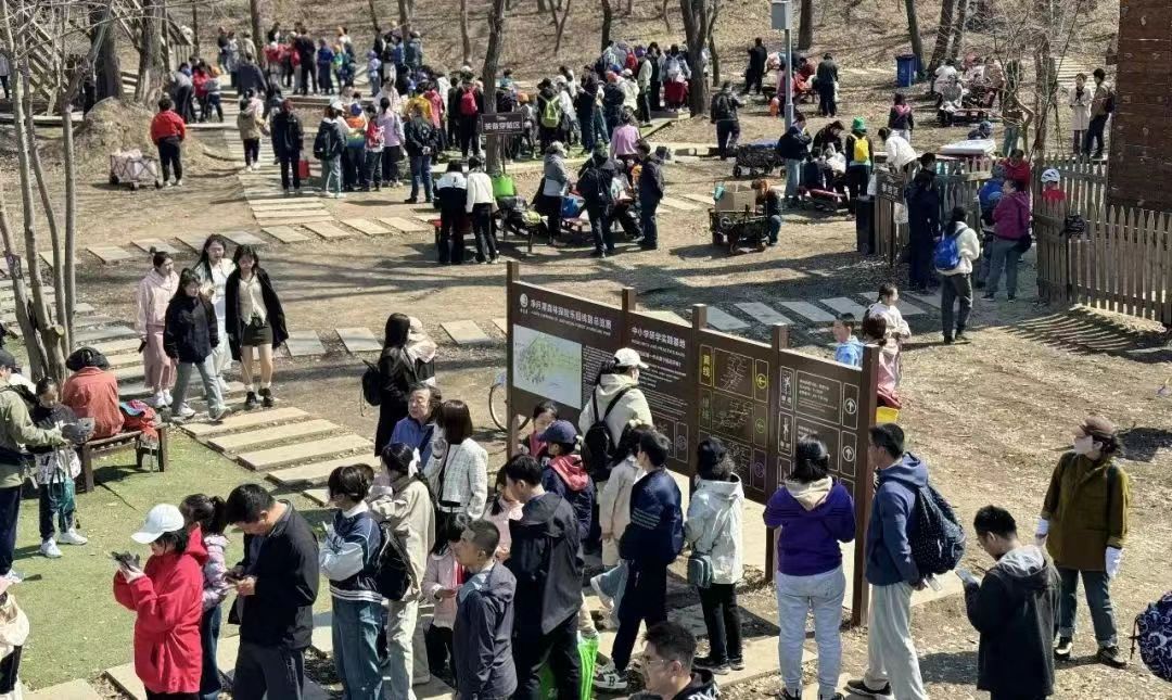 36万人次_澎湃号·政务_澎湃新闻-the paper