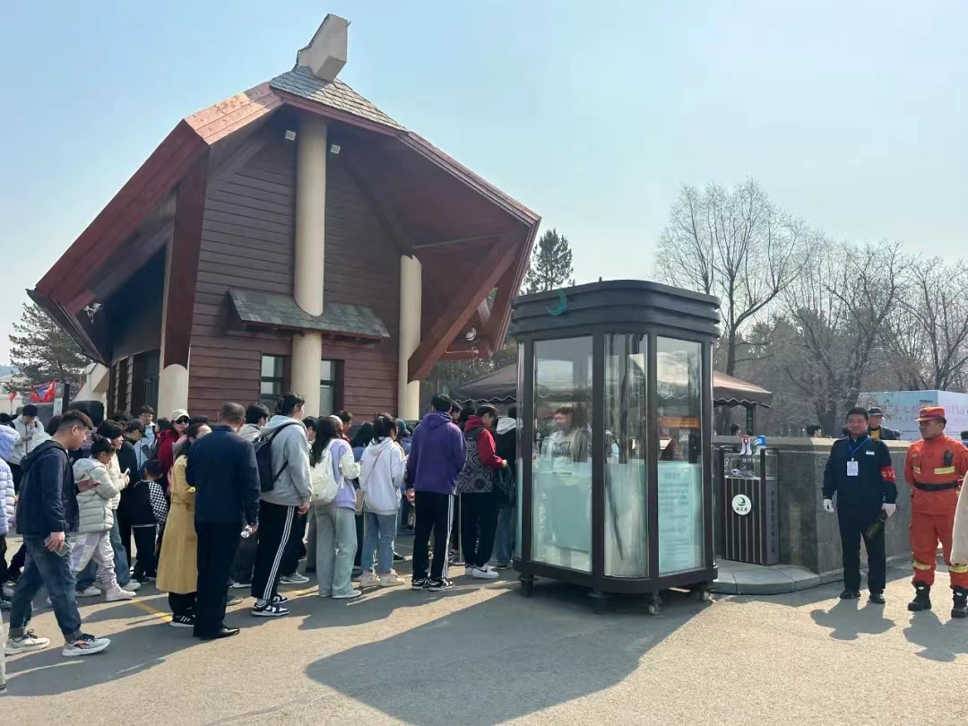 36万人次_澎湃号·政务_澎湃新闻-the paper