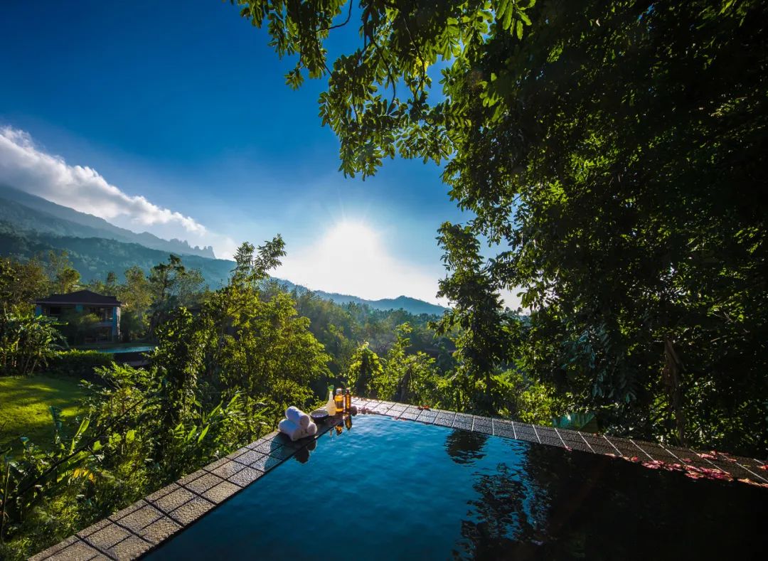 下午前往茶溪谷景区,漫步风情长廊,体验茶文化,感受热带雨林风光.