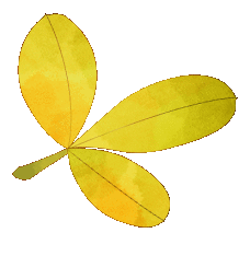 寻图之旅 | ai与师院的碰撞_澎湃号·政务_澎湃新闻-the paper