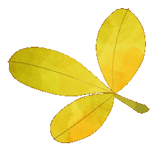 寻图之旅 | ai与师院的碰撞_澎湃号·政务_澎湃新闻-the paper