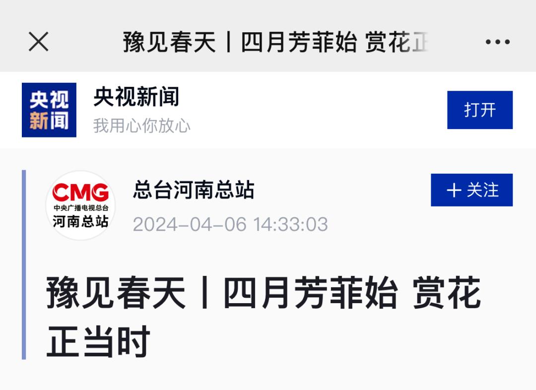 央视新闻客户端里的宜阳春天_澎湃号·政务_澎湃新闻-the paper