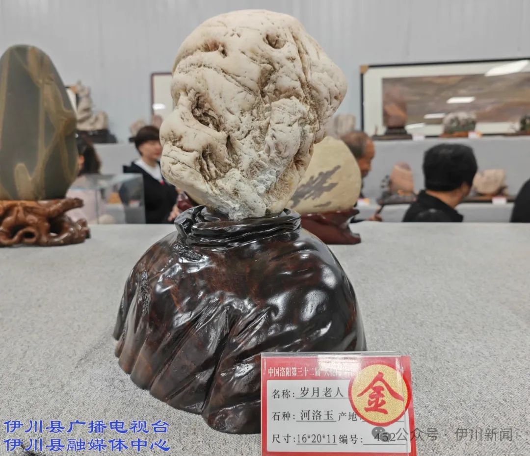 伊川藏友奇石再获金奖_澎湃号·政务_澎湃