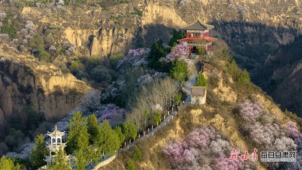 西峰小崆峒山春景如画 吸引市民纷至沓来_澎湃号·政务_澎湃新闻-the