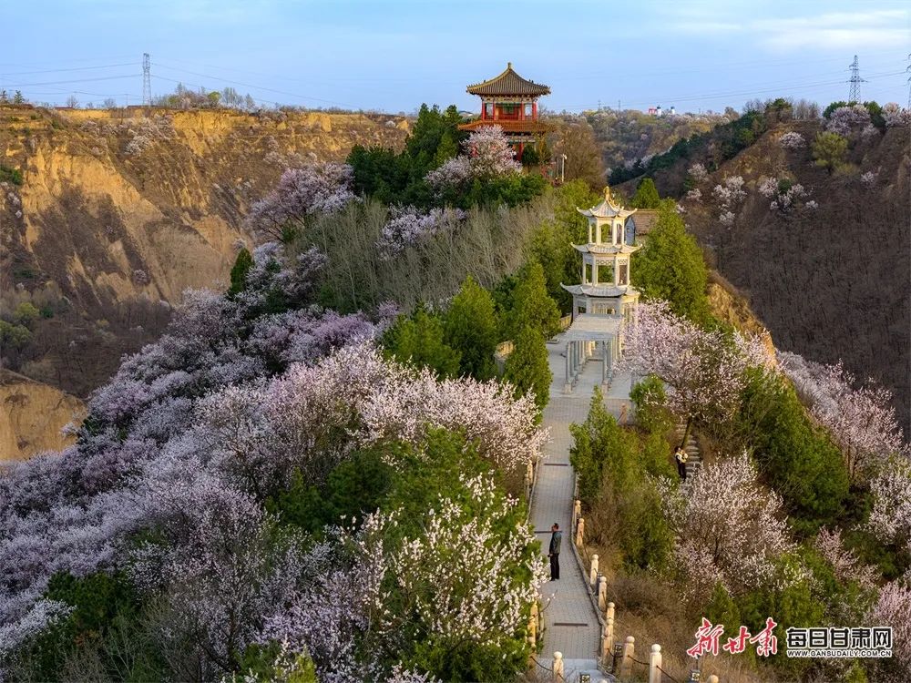 甘肃西峰旅游景点图片