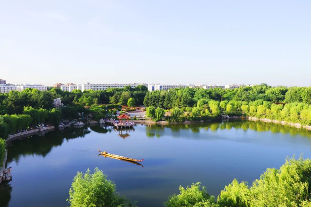 青岛农业大学2024年硕士研究生调剂公告
