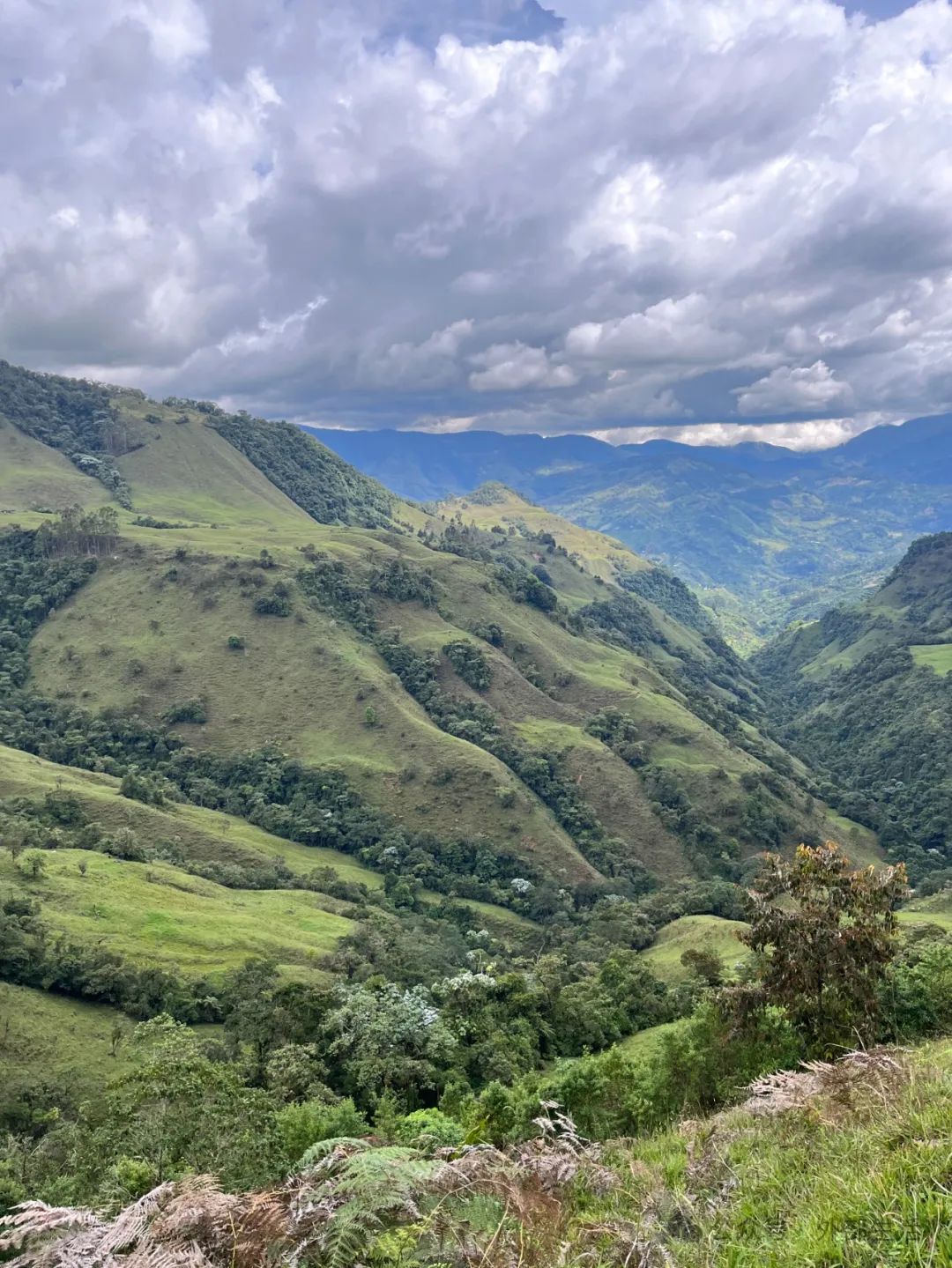 关于哥伦比亚的几件事 (六)_澎湃号·湃客_澎湃新闻-the paper