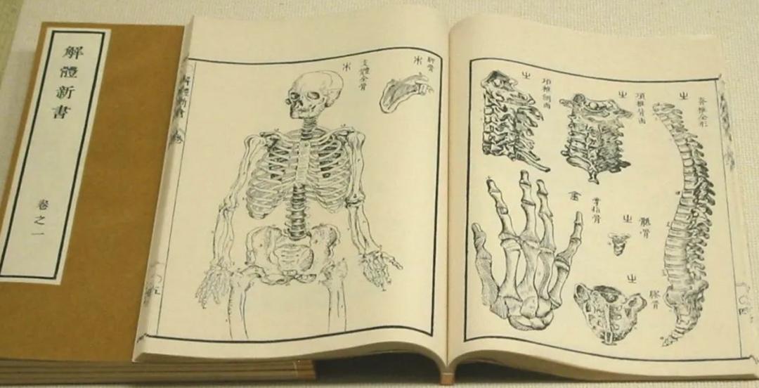 循迹晓讲_澎湃号·湃客_澎湃新闻-the paper