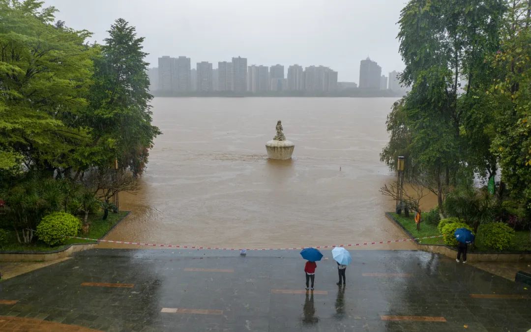 洪水编号是怎么来的?_澎湃号·政务_澎湃新闻-the paper