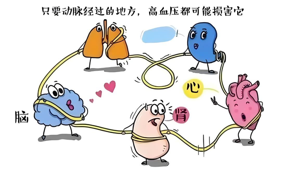 世界肾脏日:"不可忽视的高血压"_澎湃号·湃客_澎湃新闻-the paper