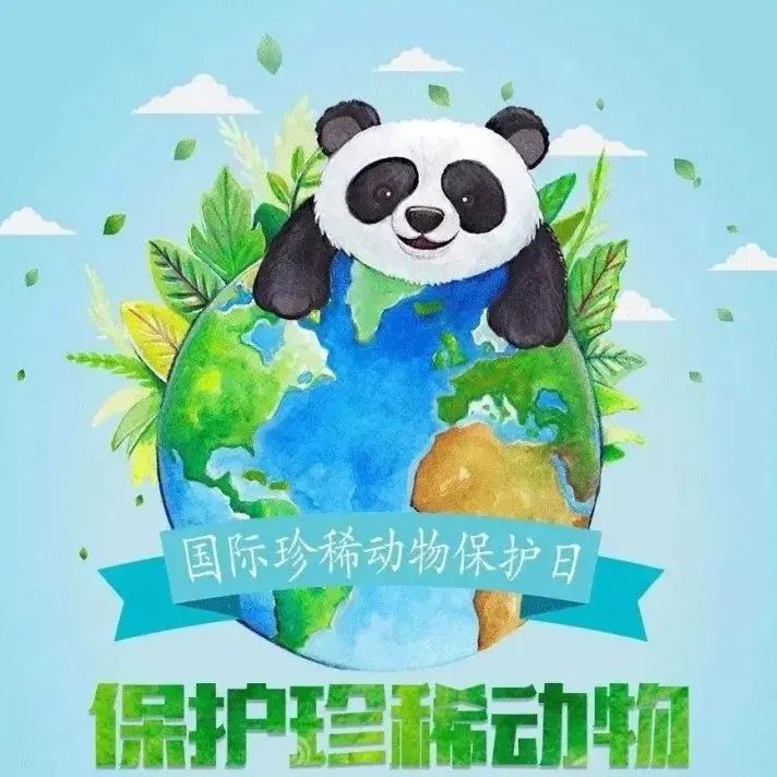 国际珍稀动物保护日丨超过37000个物种被列为濒危