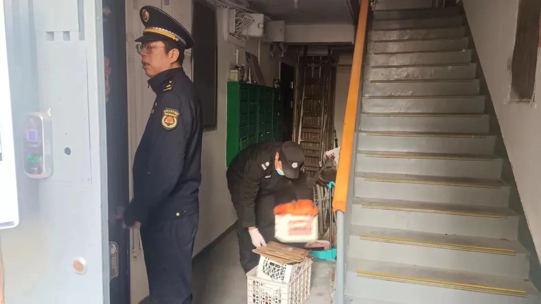 ta们出手了_澎湃号·政务_澎湃新闻-the paper