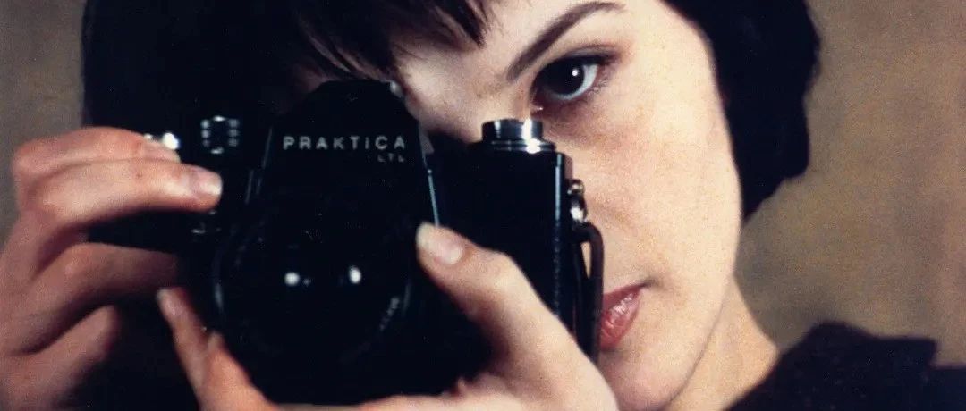 用一本词典携带一个精神故乡_澎湃号·湃客_澎湃新闻