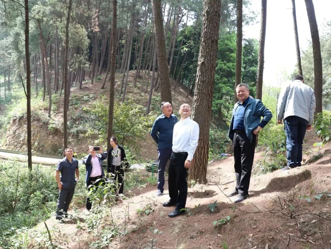 重庆法院一周新闻速览!_澎湃号·政务_澎湃新闻-the paper