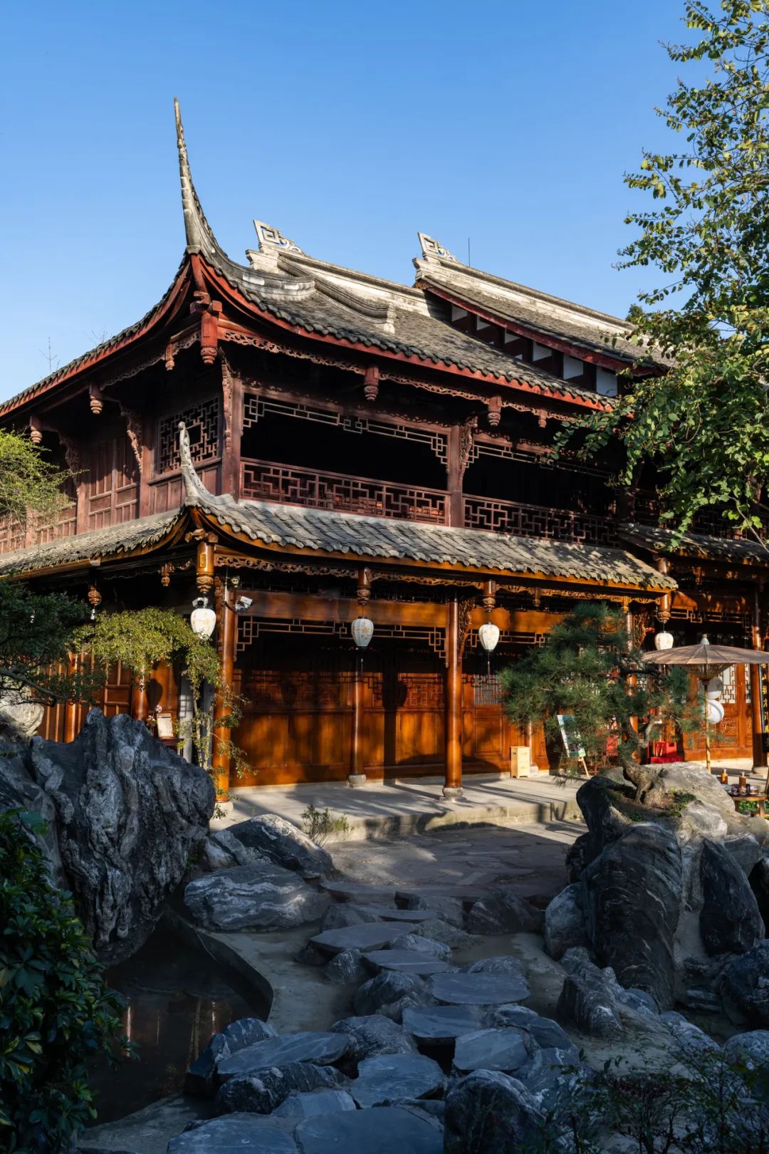 温江盆景亮相2024成都世园会主会场成都园