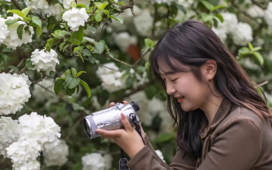 去看木绣球吗我的意思是和你一起