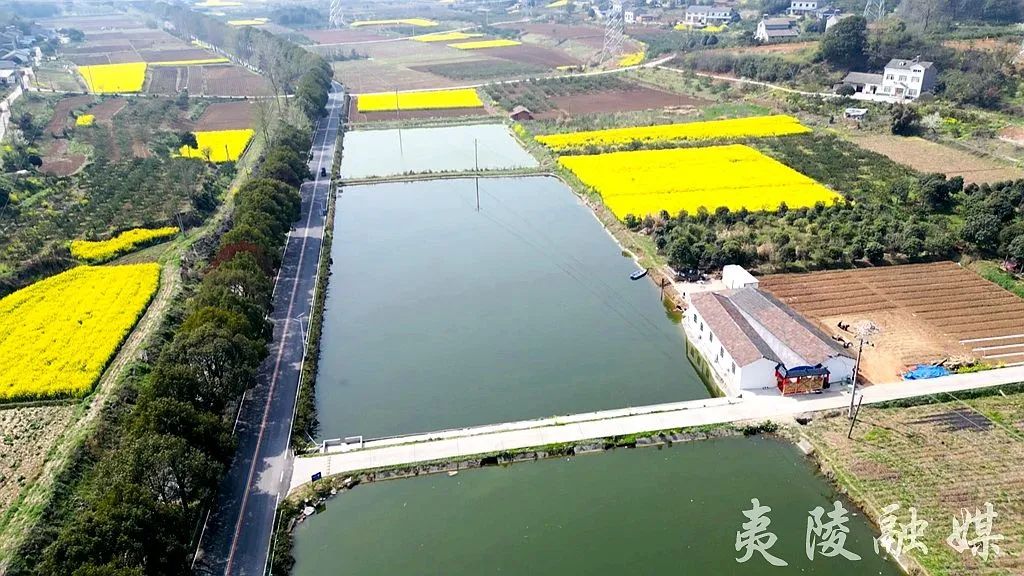 这条河沿线,又富又美!_澎湃号·政务_澎湃新闻-the