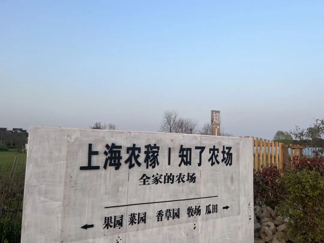 "开民宿只是第一步,我的计划是,将知了乡里打造成上海的艾米农场