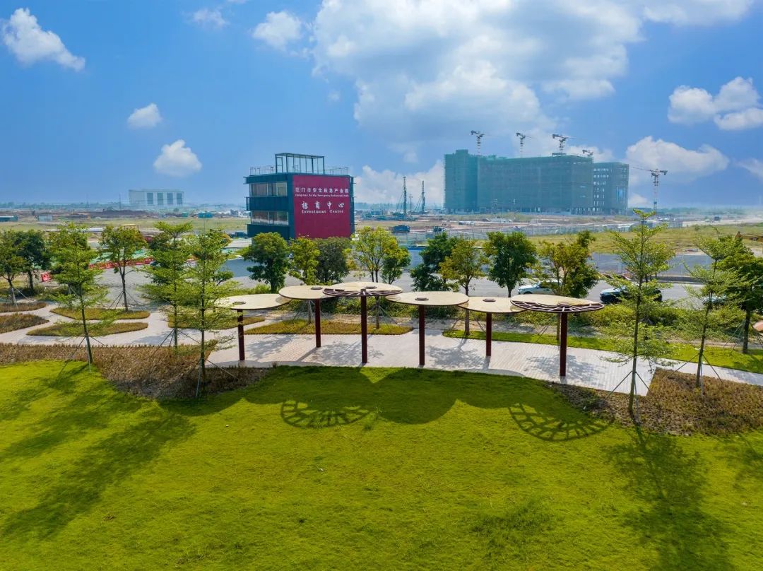 高质量发展看江海|江海区经济促进局:加快形成江海化