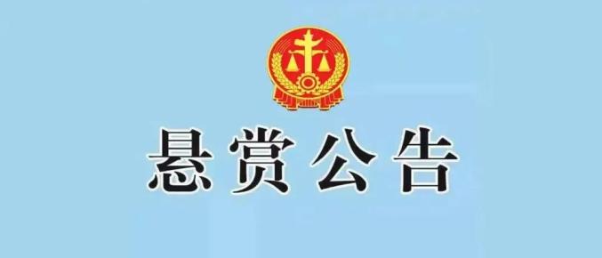 河南省沁阳市人民法院执行悬赏公告(2024年第14期)