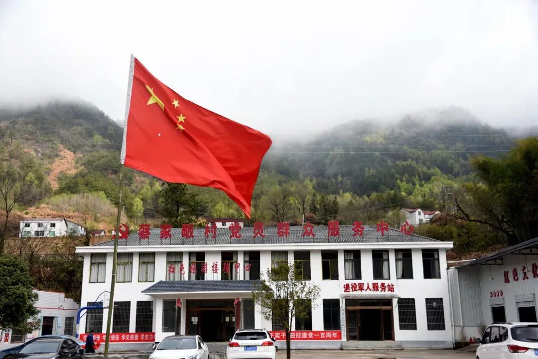 英山天马寨五彩杜鹃花期预报来了!你等了一年的杜鹃花要开啦!