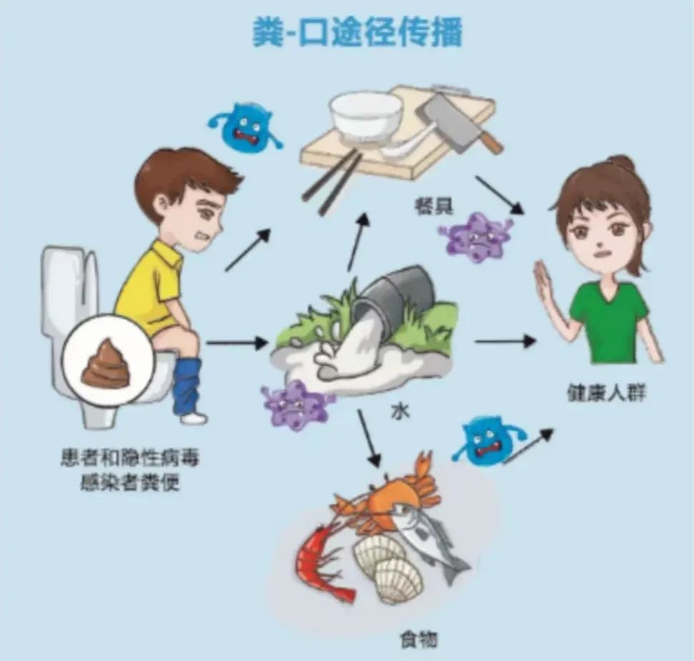 传播途径主要因误食被hev污染的食物,水源等,造成急性肝脏损伤,引发
