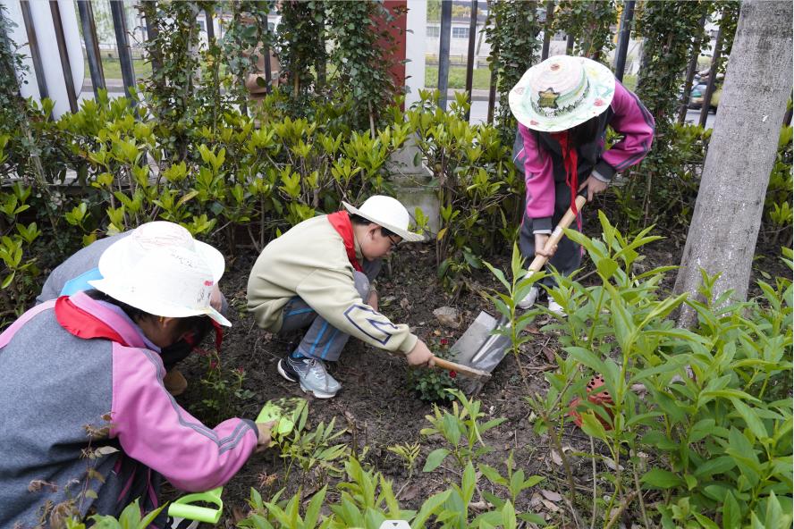 【地区联络组】浪漫春日里,闵行这所学校的孩子们亲手种下花儿_澎湃号