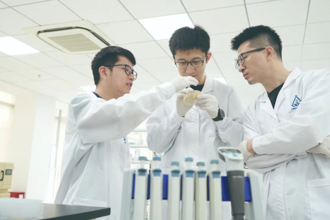 留美海归晁然——奔跑在合成生物"新赛道"_澎湃号·政务_澎湃新闻-the