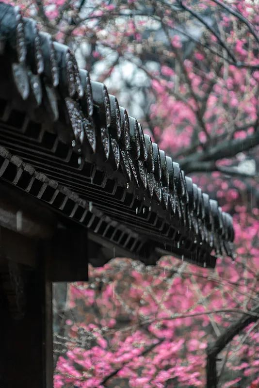 "你走出我的视线,却从未走出我的思念"_澎湃号·政