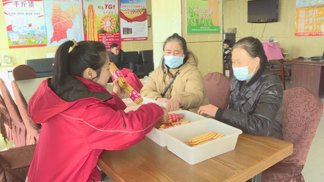 种子市场积极备货 满足春耕生产需求_澎湃号·政务_澎湃新闻-the