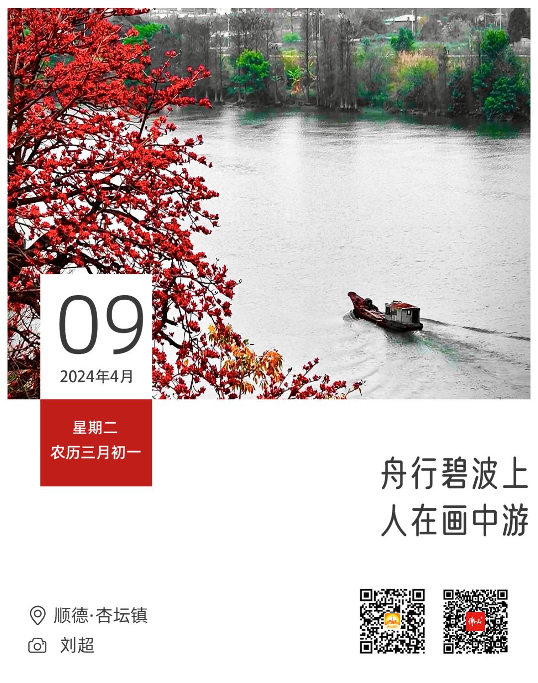 你好佛山 | 舟行碧波上,人在画中游_澎湃号·政务_澎湃新闻-The Paper