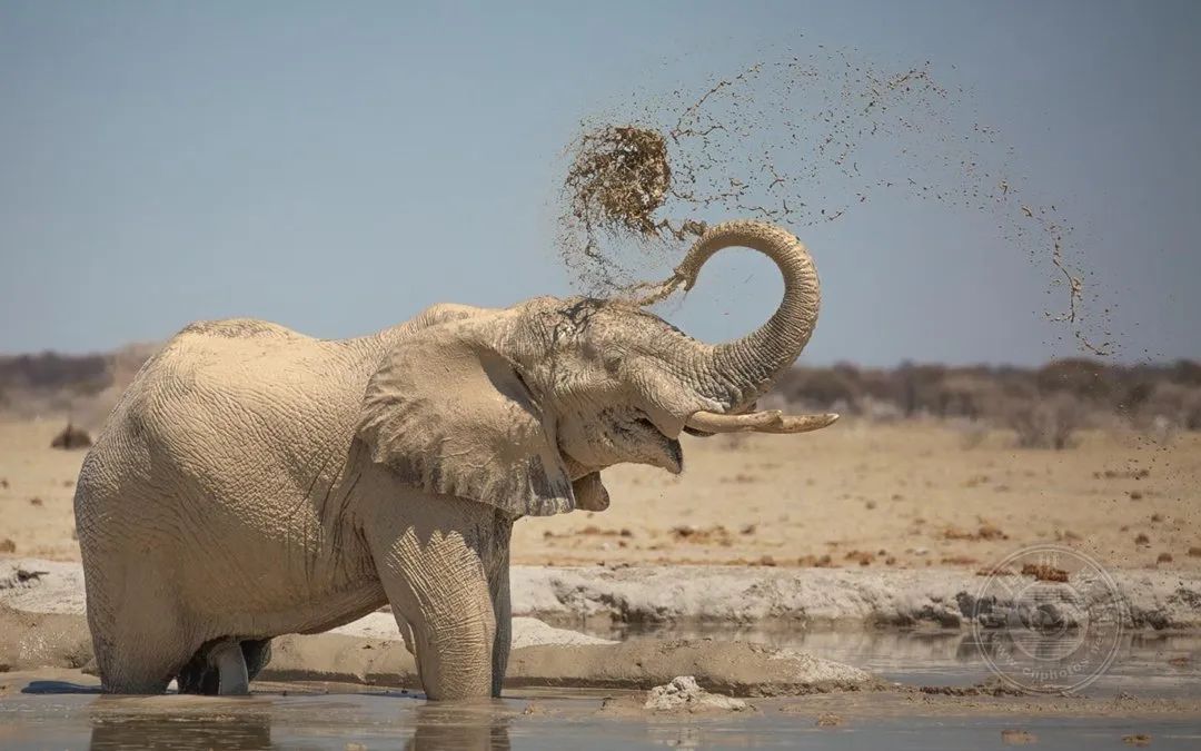 揭晓| 2024年第九届新加坡狮城国际摄影展获奖名单公