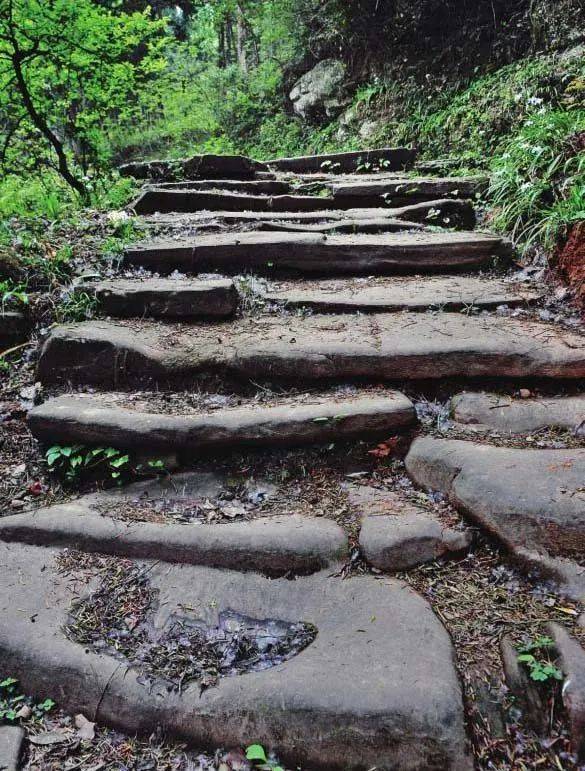 全程1000多公里的荔枝道,途经达州境内共约200公里,从大成乡瓦窑坝入