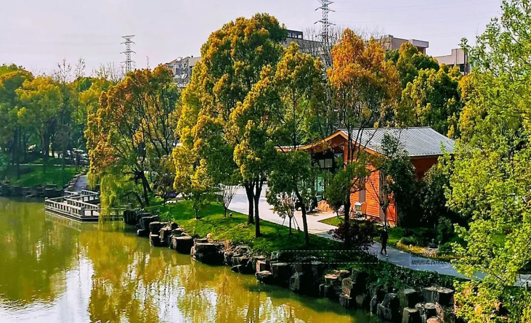 澎湃号·媒体_澎湃新闻-the paper