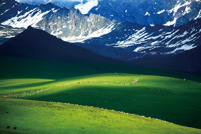 新疆草原摄影浅见_澎湃号·媒体_澎湃新闻-the paper