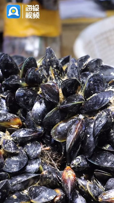 海虹这个美味,北方叫海虹,南方叫青口,学名叫贻贝.