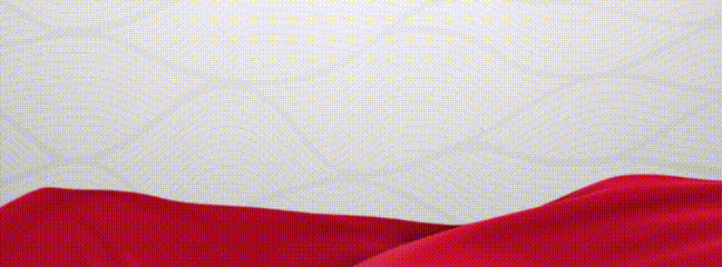 澎湃号·政务_澎湃新闻-the paper