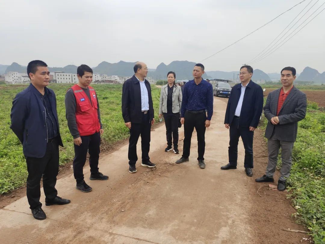 韦平到武宣调研:做好示范引领,助力乡村振兴,护航企业发展_澎湃号