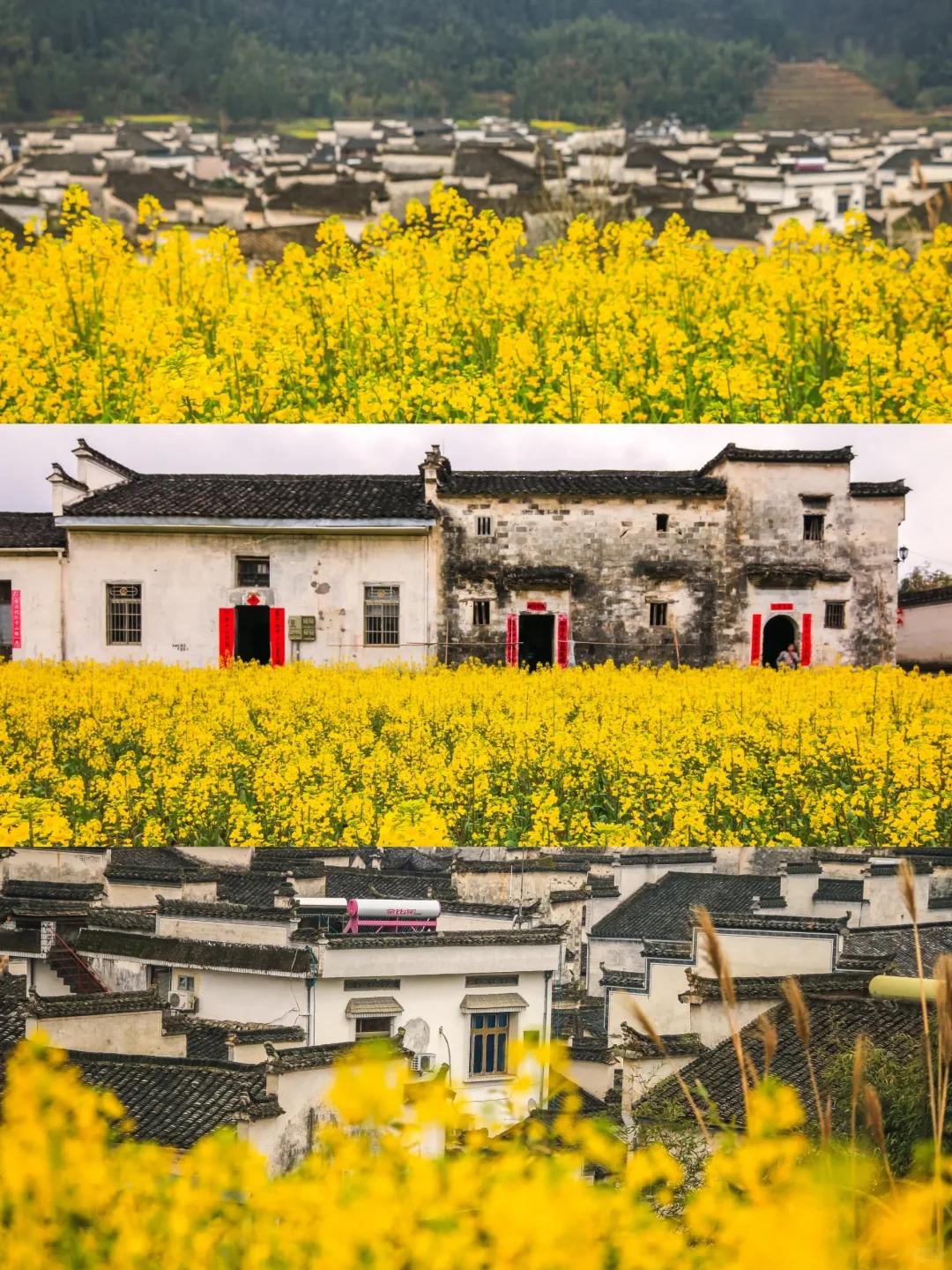 澎湃号·湃客_澎湃新闻-the paper