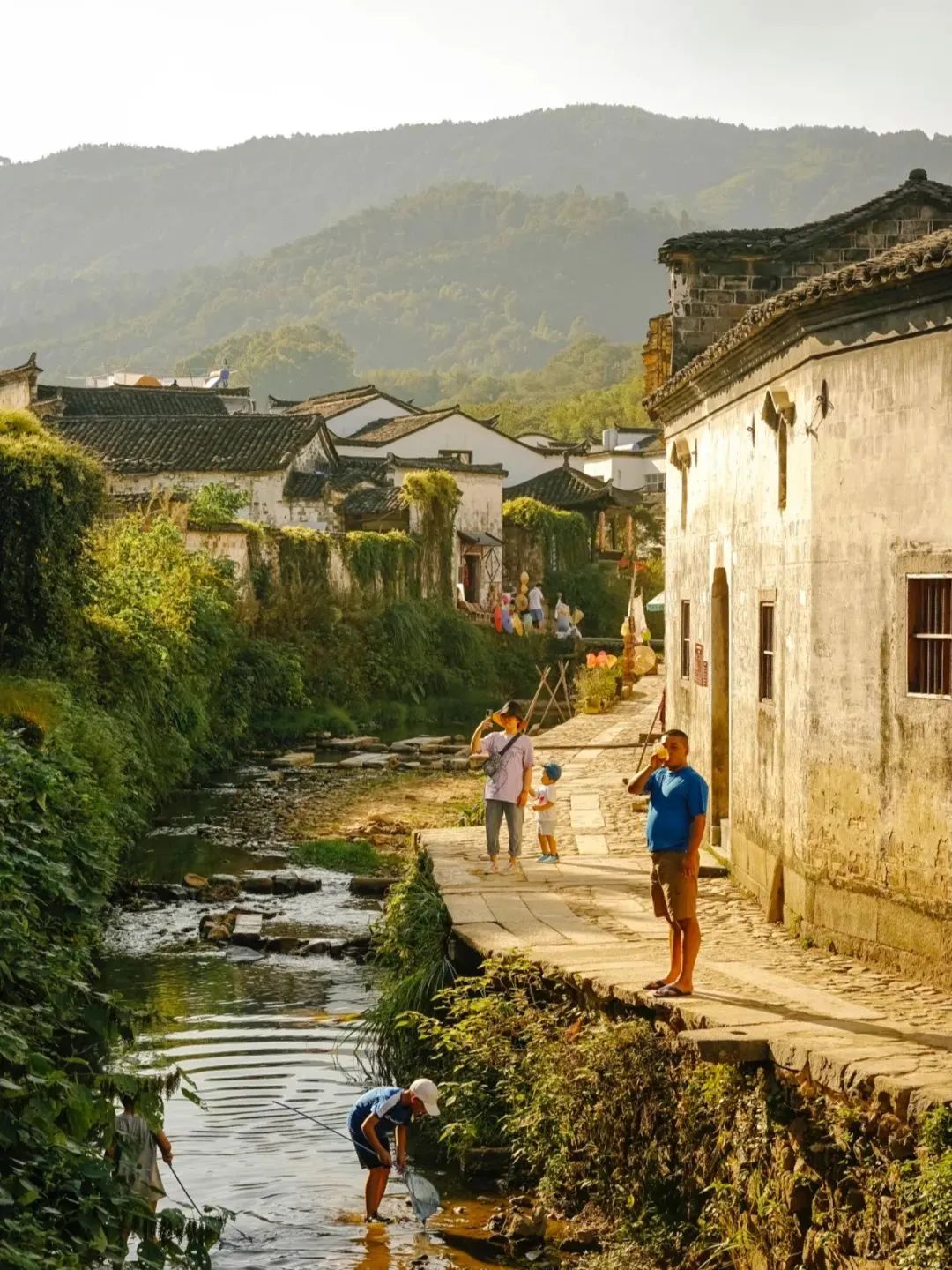 澎湃号·湃客_澎湃新闻-the paper