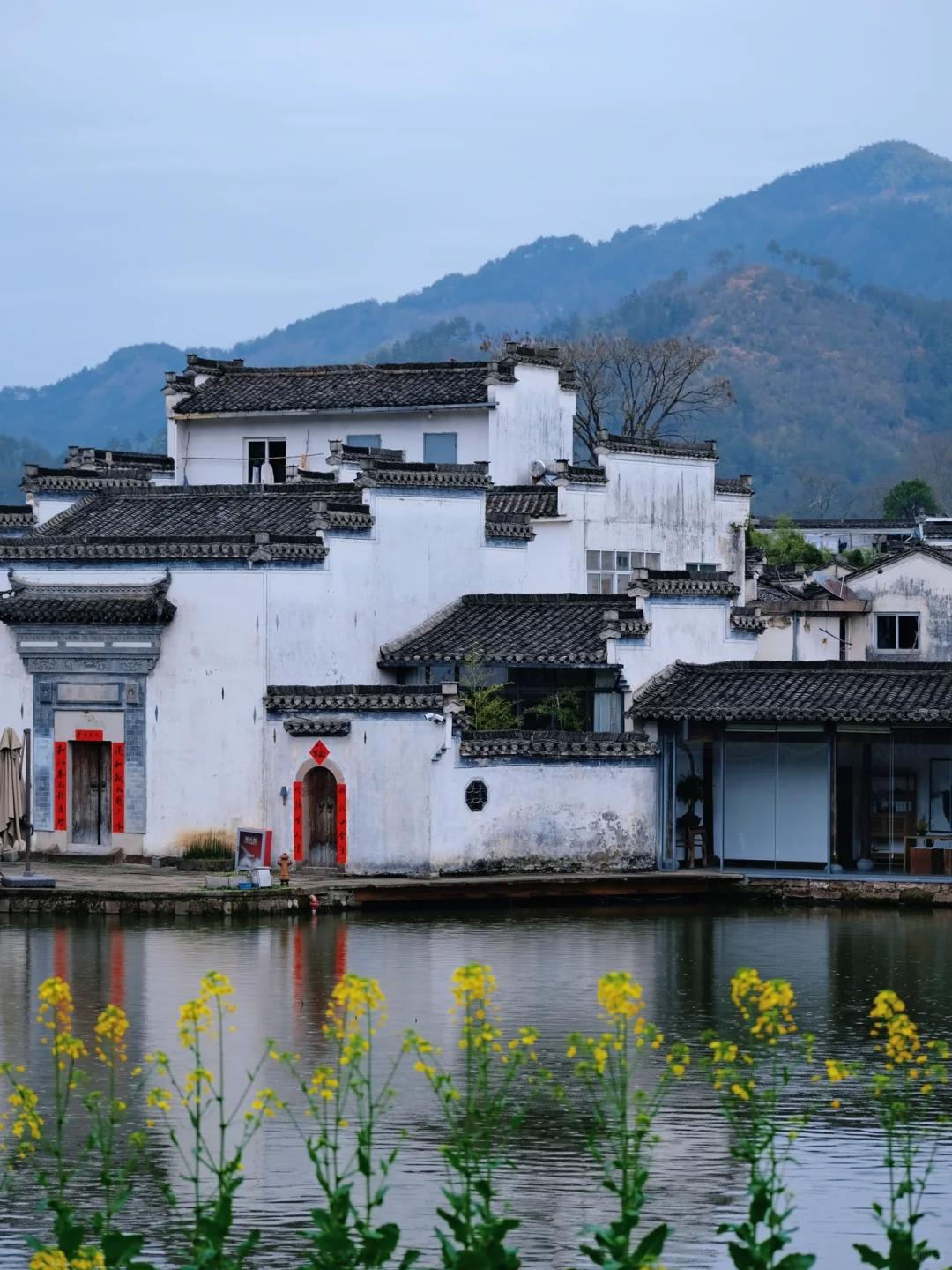 澎湃号·湃客_澎湃新闻-the paper