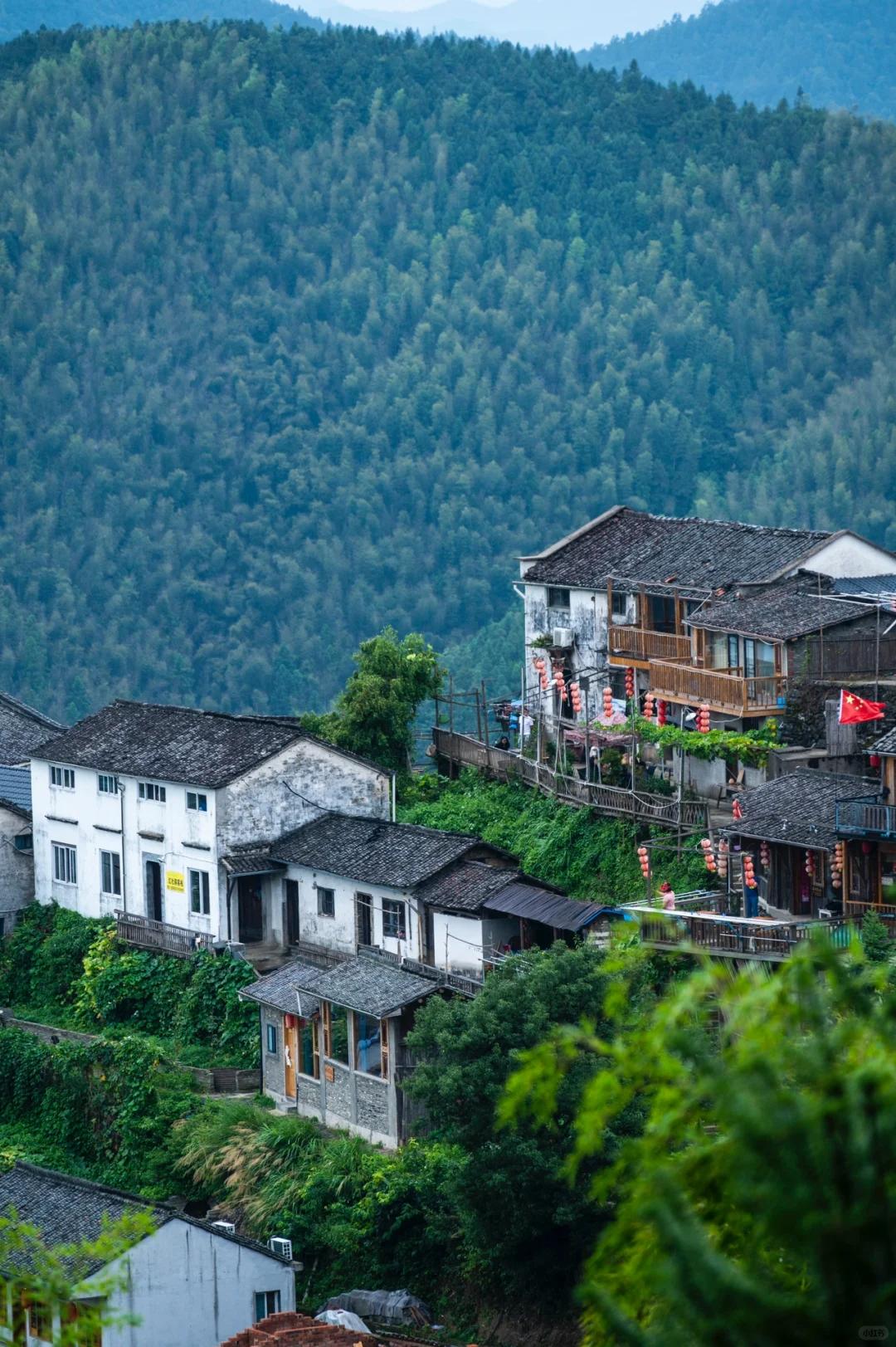 澎湃号·湃客_澎湃新闻-the paper