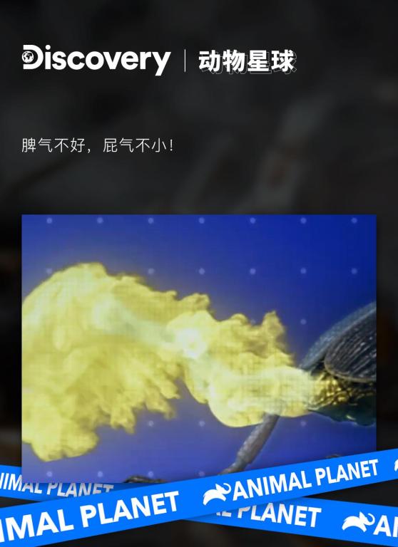 澎湃号·湃客_澎湃新闻-the paper