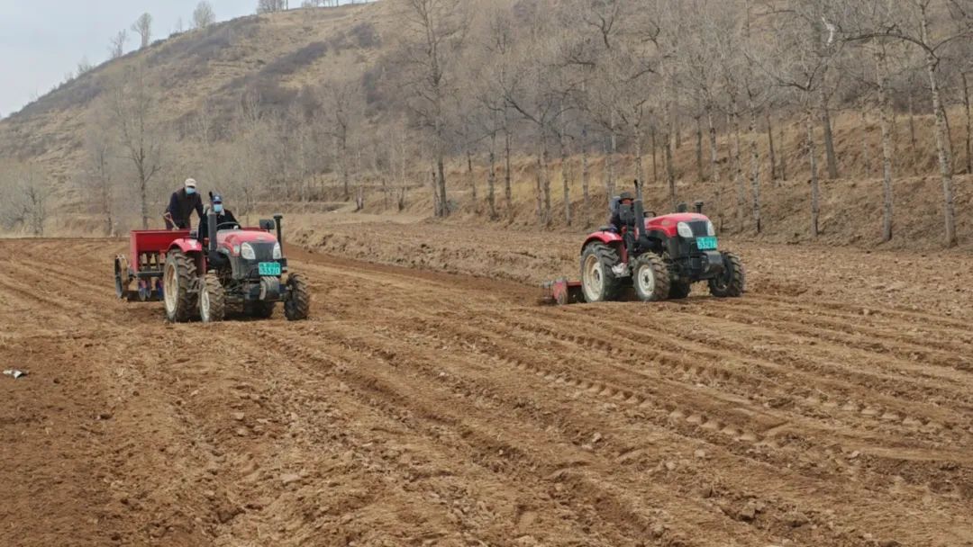 曾先后获得"西宁市农村青年创业致富带头人""昆仑英才