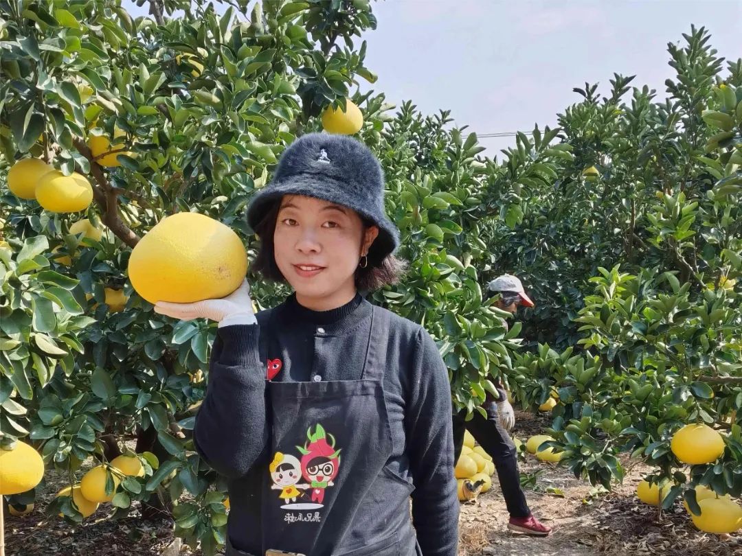 建强"三支队伍"|玉环市妇联"三步走"提升服务水平